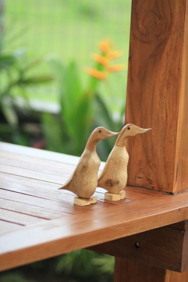 Villa Saia Ubud Exteriör bild