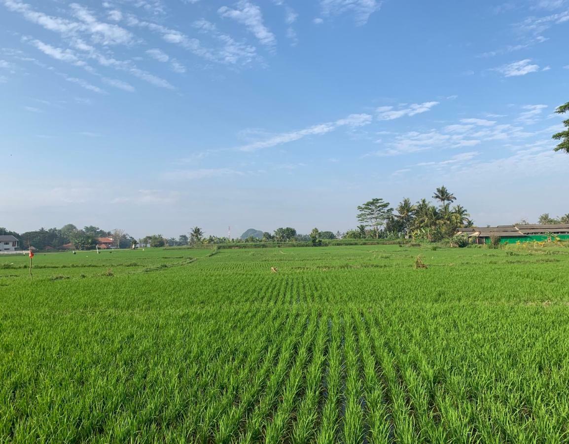 Villa Saia Ubud Exteriör bild