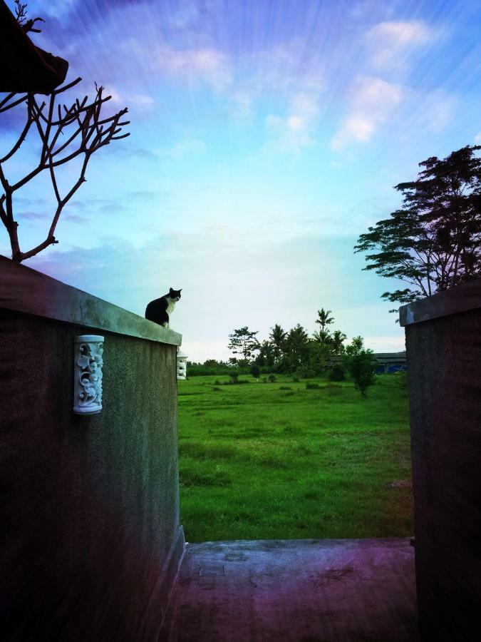 Villa Saia Ubud Exteriör bild
